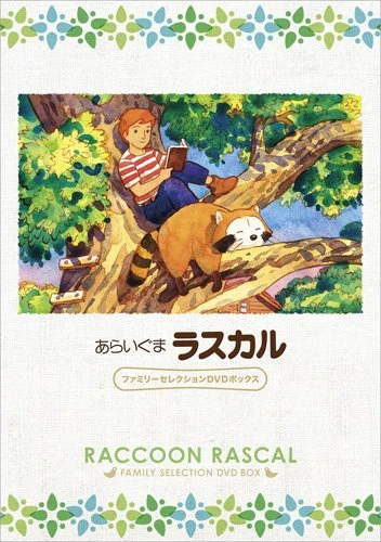Anime: Rascal, il mio amico orsetto
