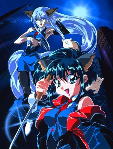 Anime: Hyper Police