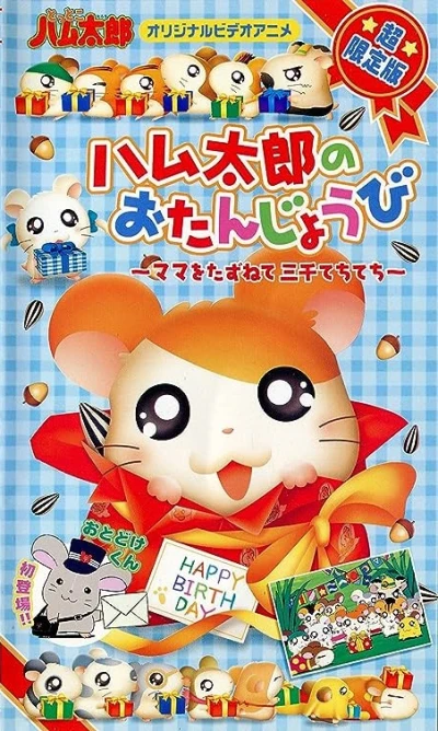 Anime: Hamtaro: Tanti auguri Hamtaro