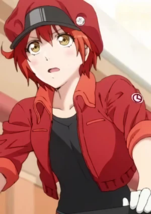 Anime: Hataraku Saibou
