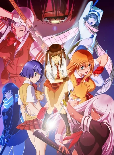 Anime: Shin Ikki Tousen