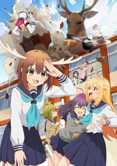 Anime: Nokotan in Cerva di Amici