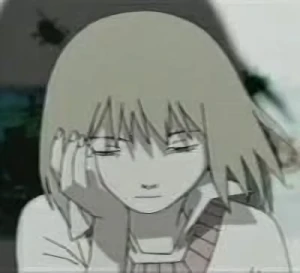 Anime: Survival 2.7D Animation Version