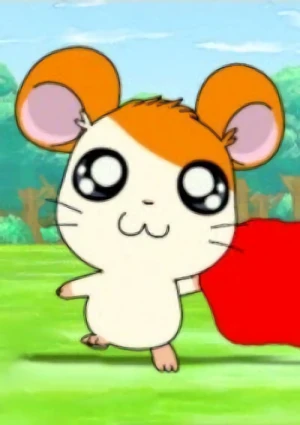 Anime: Tottoko Hamtarou Hai!