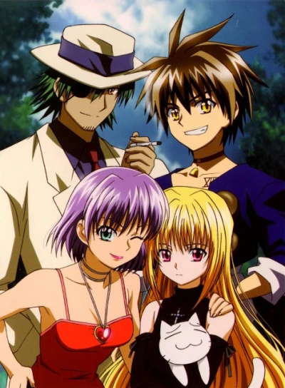Anime: Black Cat: The Distant Cat