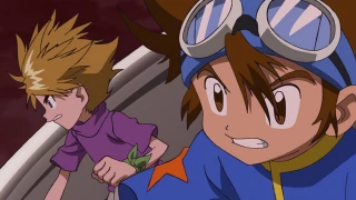 Episodio 24