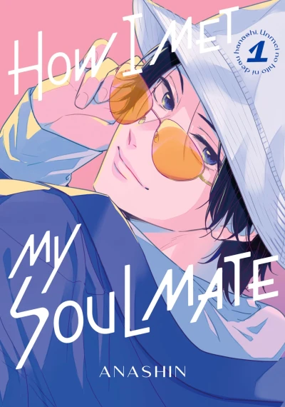 How I Met My Soulmate - Vol. 01 [eBook]