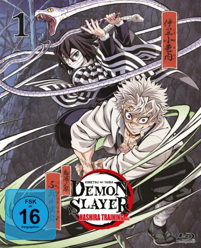 Demon Slayer: Kimetsu no Yaiba - Hashira Training Arc - Vol. 1/2 [Blu-ray]