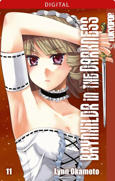 Brynhildr in the Darkness - Bd. 11 [eBook]