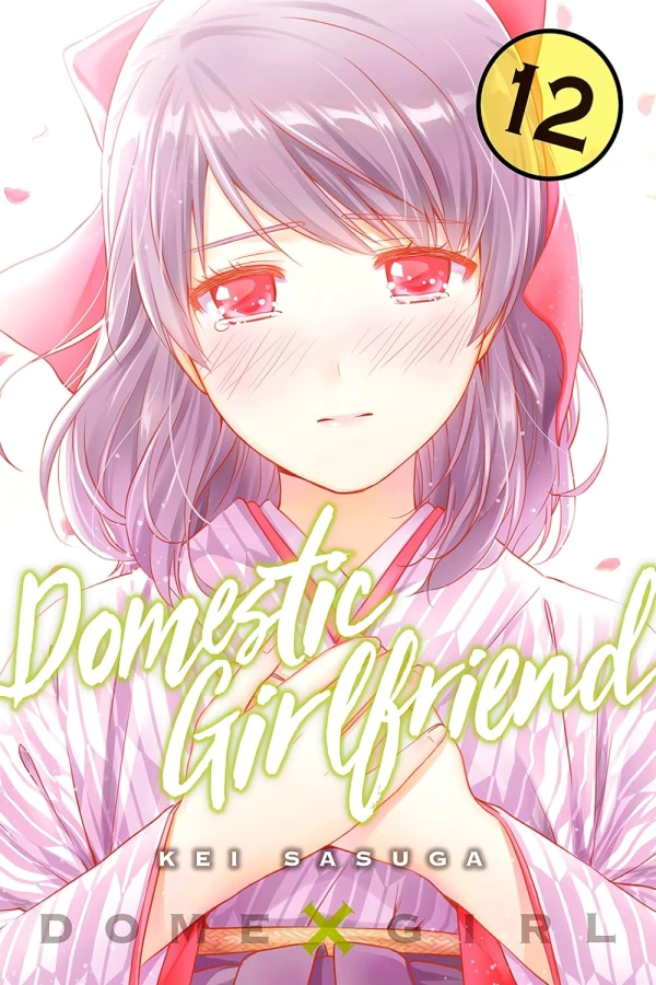 Domestic Girlfriend - Vol. 12 [eBook]