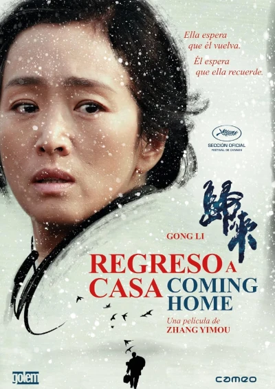 Regreso a casa
