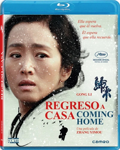 Regreso a casa [Blu-ray]