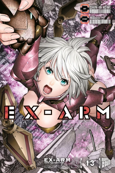 Ex-Arm - Bd. 13