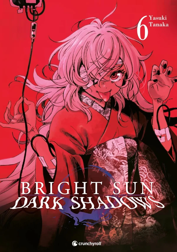 Bright Sun: Dark Shadows - Bd. 06 [eBook]