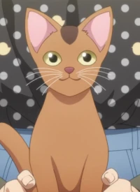 Kitten  [Miiko]