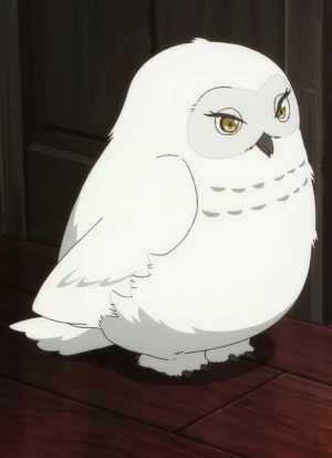 Shirofukurou