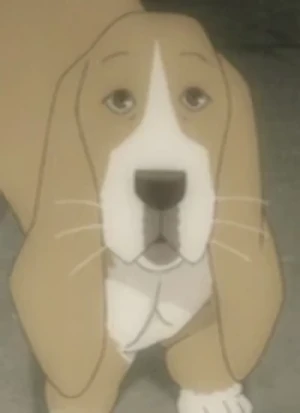 Carattere: Sasakura's Dog