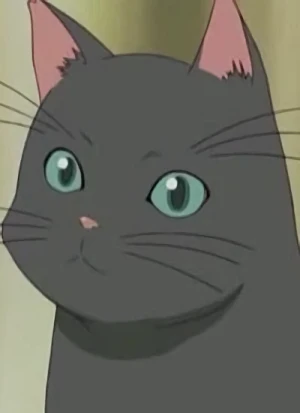 Carattere: Suzuko's Cat