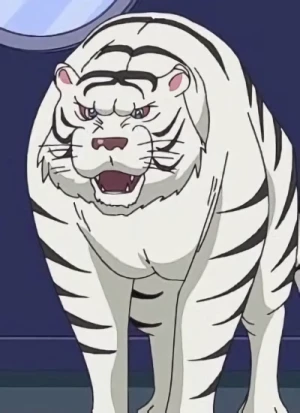 Carattere: White Tiger