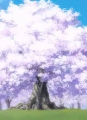 Carattere: Karenai Sakura
