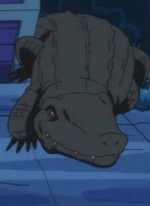Carattere: Crocodile