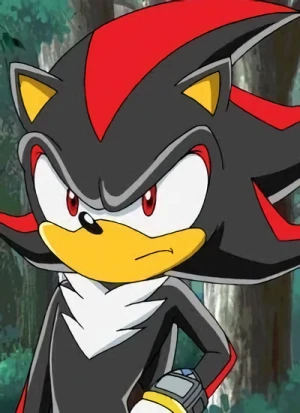 Carattere: Shadow the Hedgehog