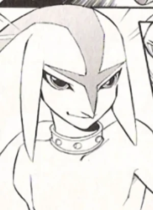 Zora Link