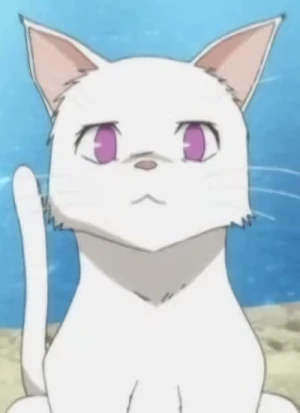 Carattere: Himari NOIHARA [Cat Form]