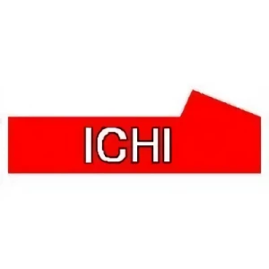 Azienda: ICHI Corporation