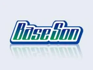 Azienda: BaseSon