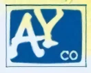 Azienda: AYCO Inc.