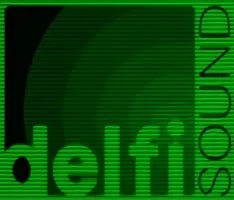 Azienda: Delfi Sound Inc.