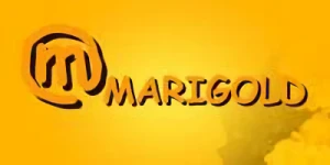 Azienda: Marigold Co., Ltd.