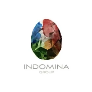 Azienda: Indomina Media, Inc.