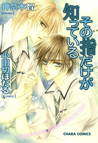 Manga: Only the Ring Finger Knows