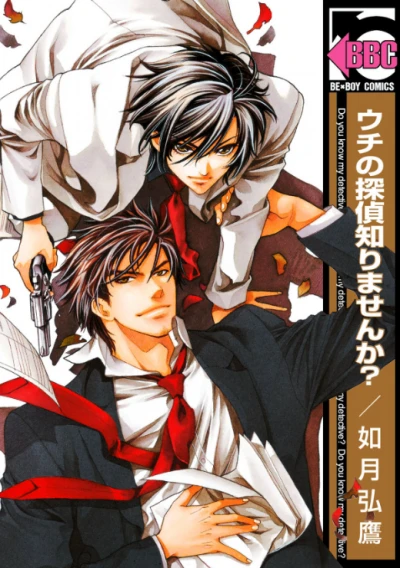 Manga: Il mio detective