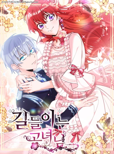 Manga: The Lady Tames the Swordmaster