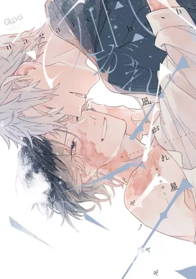 Manga: Stella cadente
