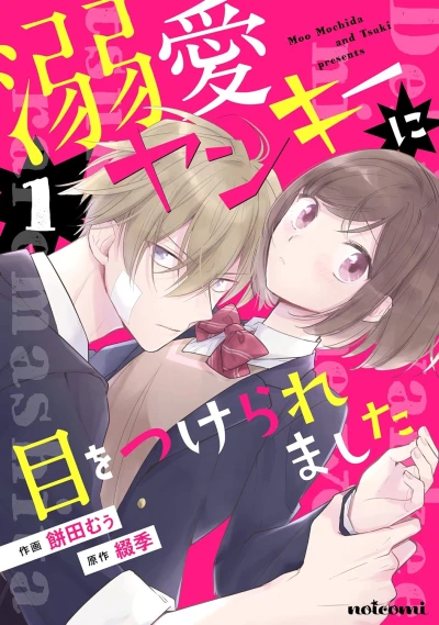 Manga: Dekiai Yankee ni Me o Tsukeraremashita