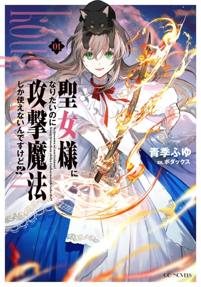 Manga: I Want to Be a Saint, but I Can Only Use Attack Magic!
