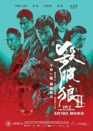 Film: Kill Zone: Ai confini della giustizia