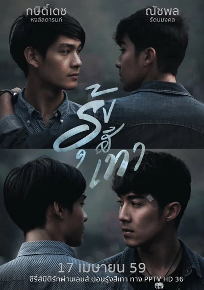 Film: Grey Rainbow