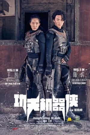 Film: Kung Fu Traveler