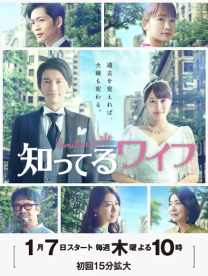 Film: Shitteru Wife