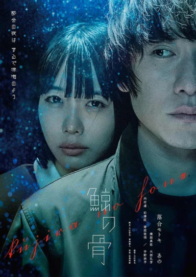 Film: Kujira no Hone