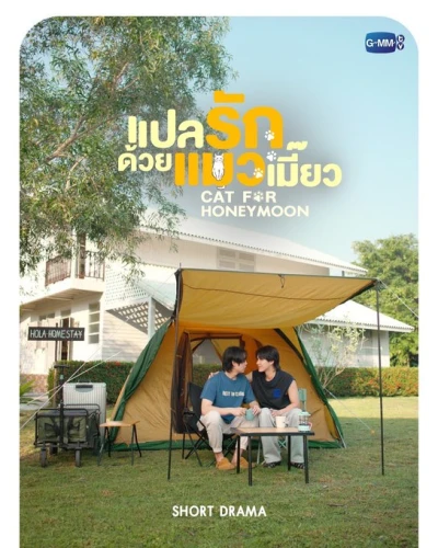 Film: Cat for Honeymoon