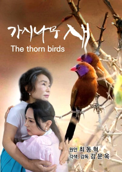Film: Gasinamusae