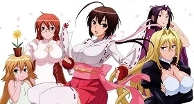 Notizie: „Sekirei“-Anime erhält DVD-Gesamtausgabe