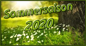 Notizie: Simulcast-Übersicht Sommer 2020
