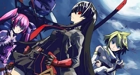 Notizie: „Akame ga Kill!“-Manga geht in den letzten Story-Arc